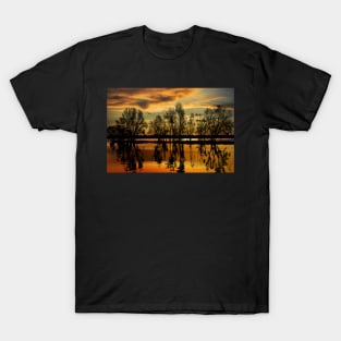 Golden Sunset T-Shirt